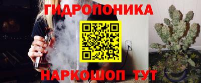 прущие крисы Лесосибирск