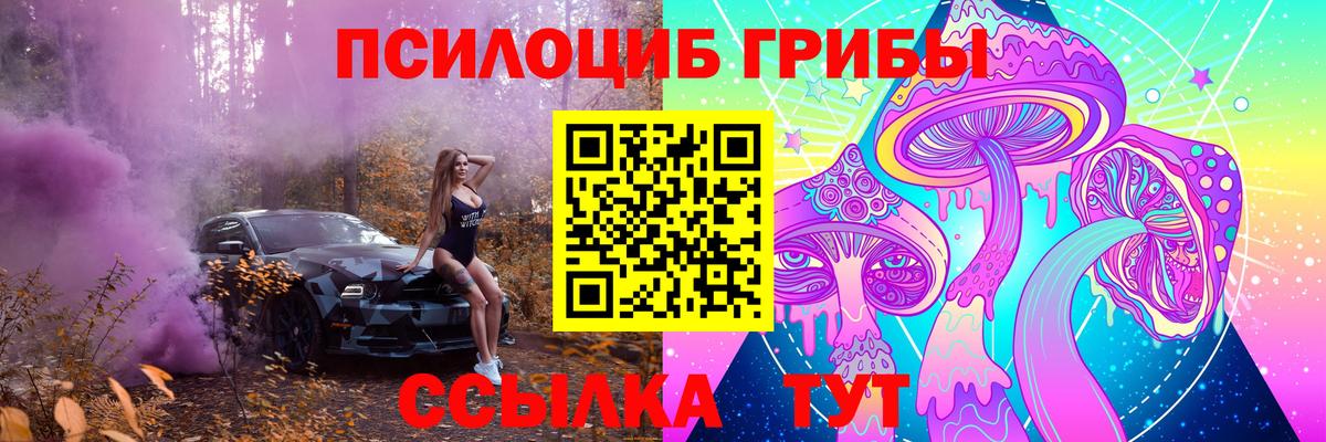 Псилоцибиновые грибы ЛСД  Псилоцибиновые грибы мухоморы  Вход с VPN  Чебоксары 